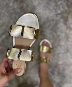 Alternative view of Mule " GOLD "