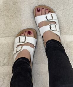 Alternative view of Mule " White "