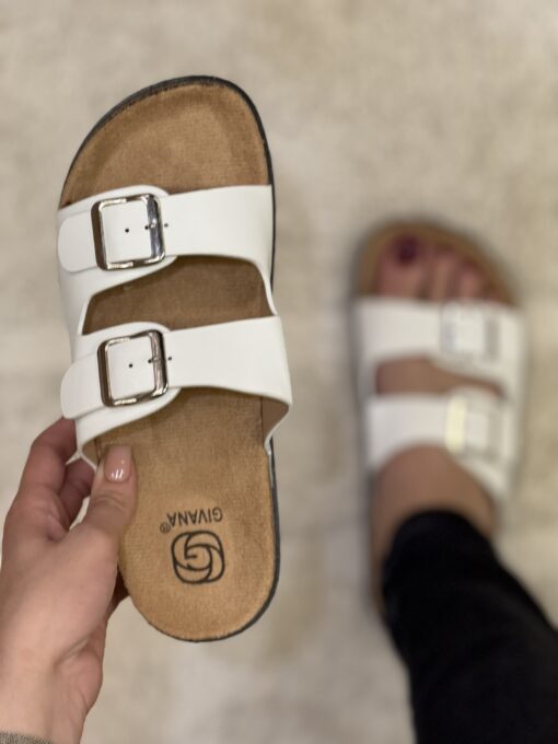 Mule " White "