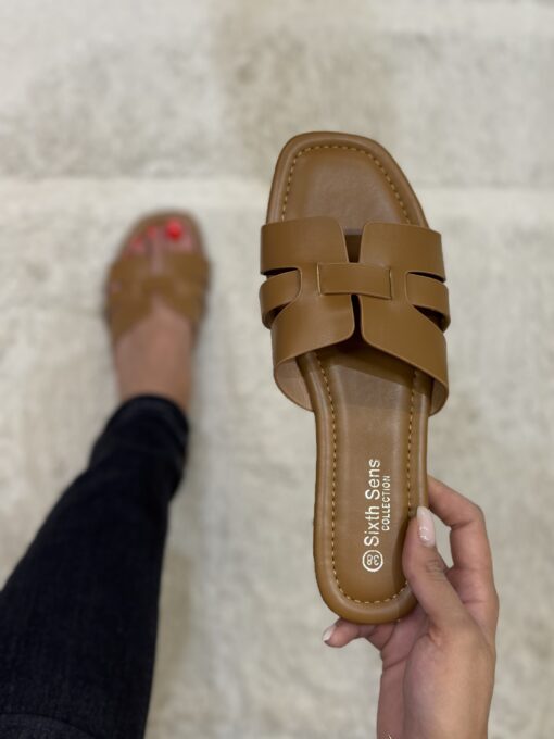 Mule " CAMEL  "