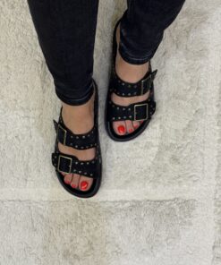 Alternative view of Birk " Snack "