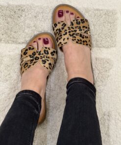 Alternative view of Mule " Léopard "