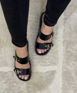 Alternative view of Mule " Black "