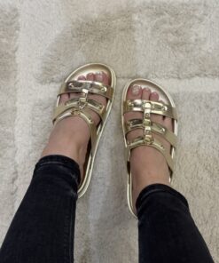 Alternative view of Mule " Gold "