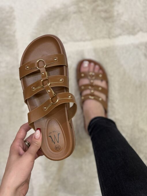 Mule " Camel "
