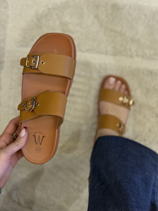 Mule " Camel "