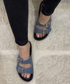 Alternative view of Mule " Bleu "