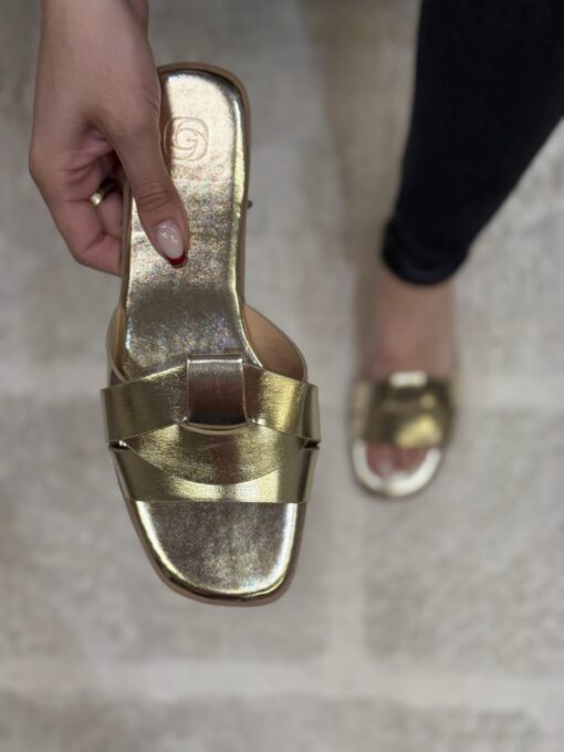 Mule " Gold "