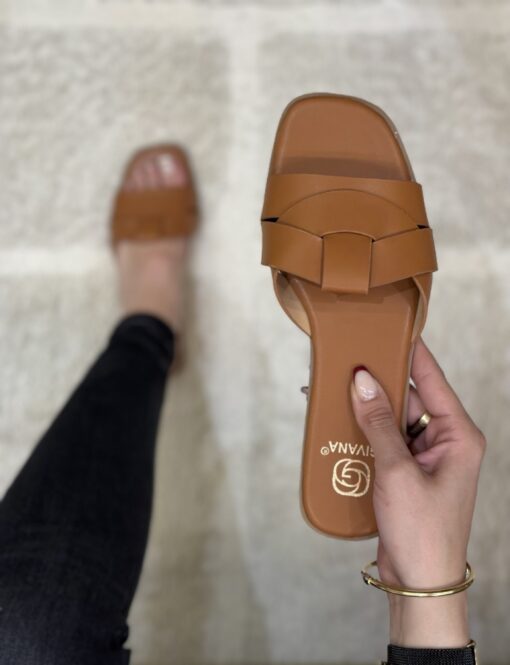 Mule " Camel "