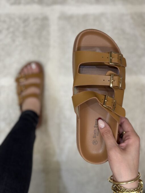 Mule " Camel "