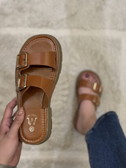 Mule "Camel"