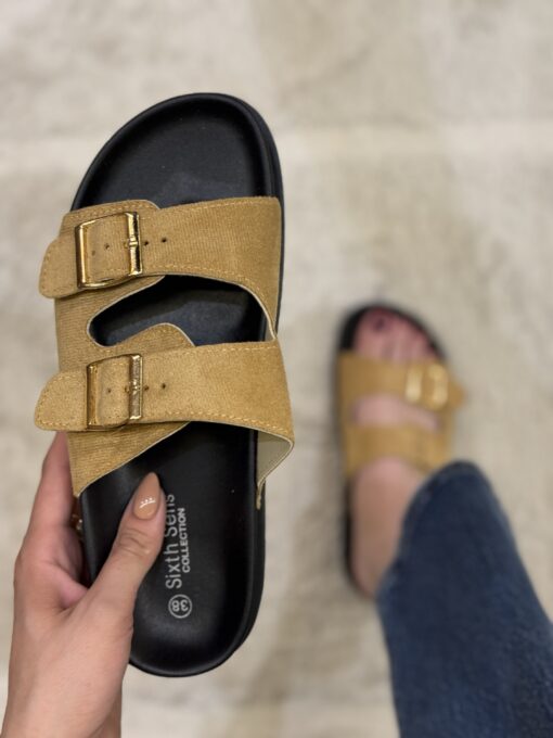 Mule "Camel"