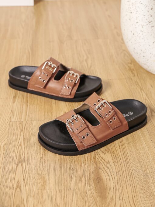 Mule - Camel -
