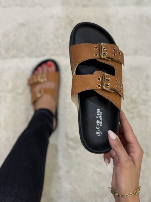 Mule - Camel -