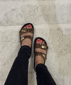 Alternative view of Mule - Léopard -