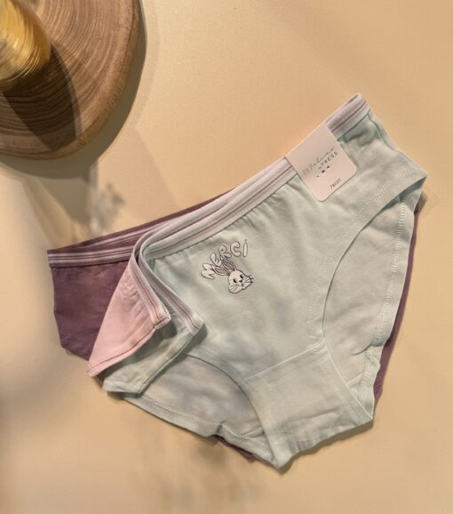 Pack de 3 culottes - Tress - en coton