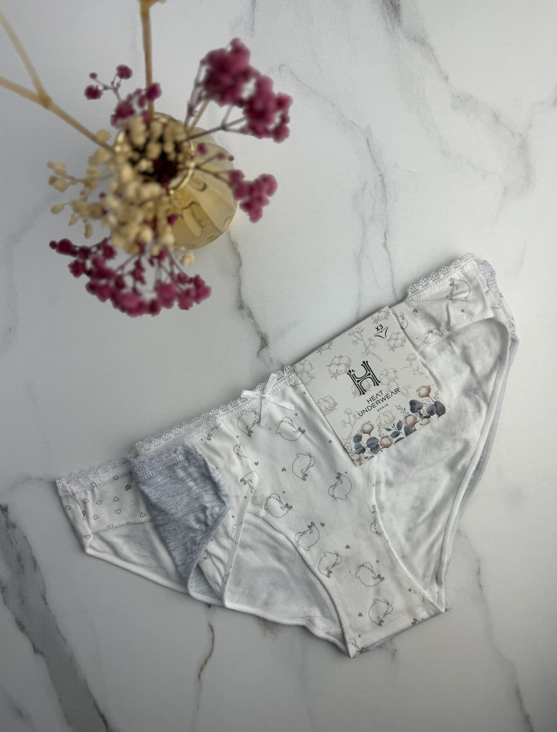 Pack de 3 culottes H