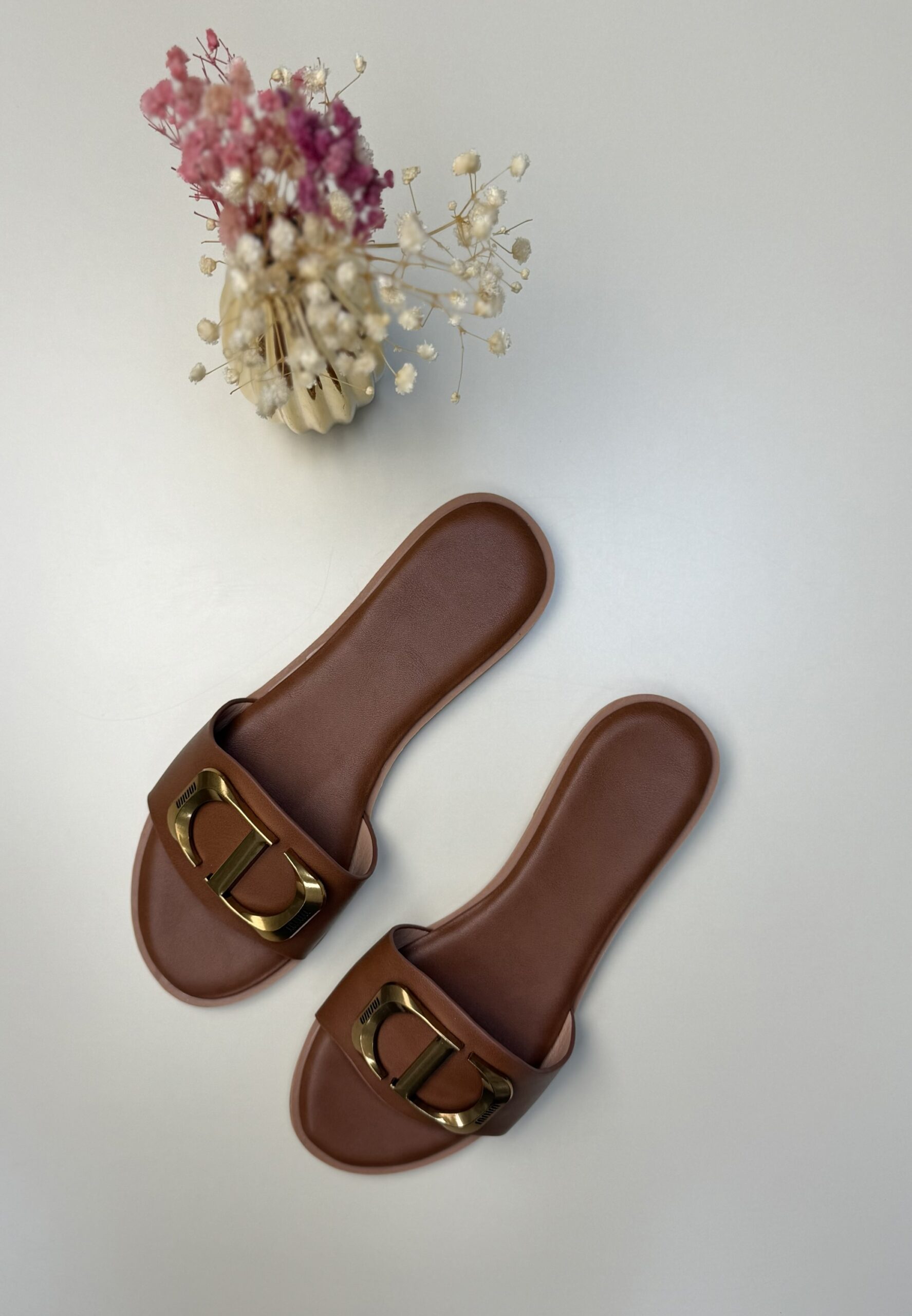 Mule " Camel "