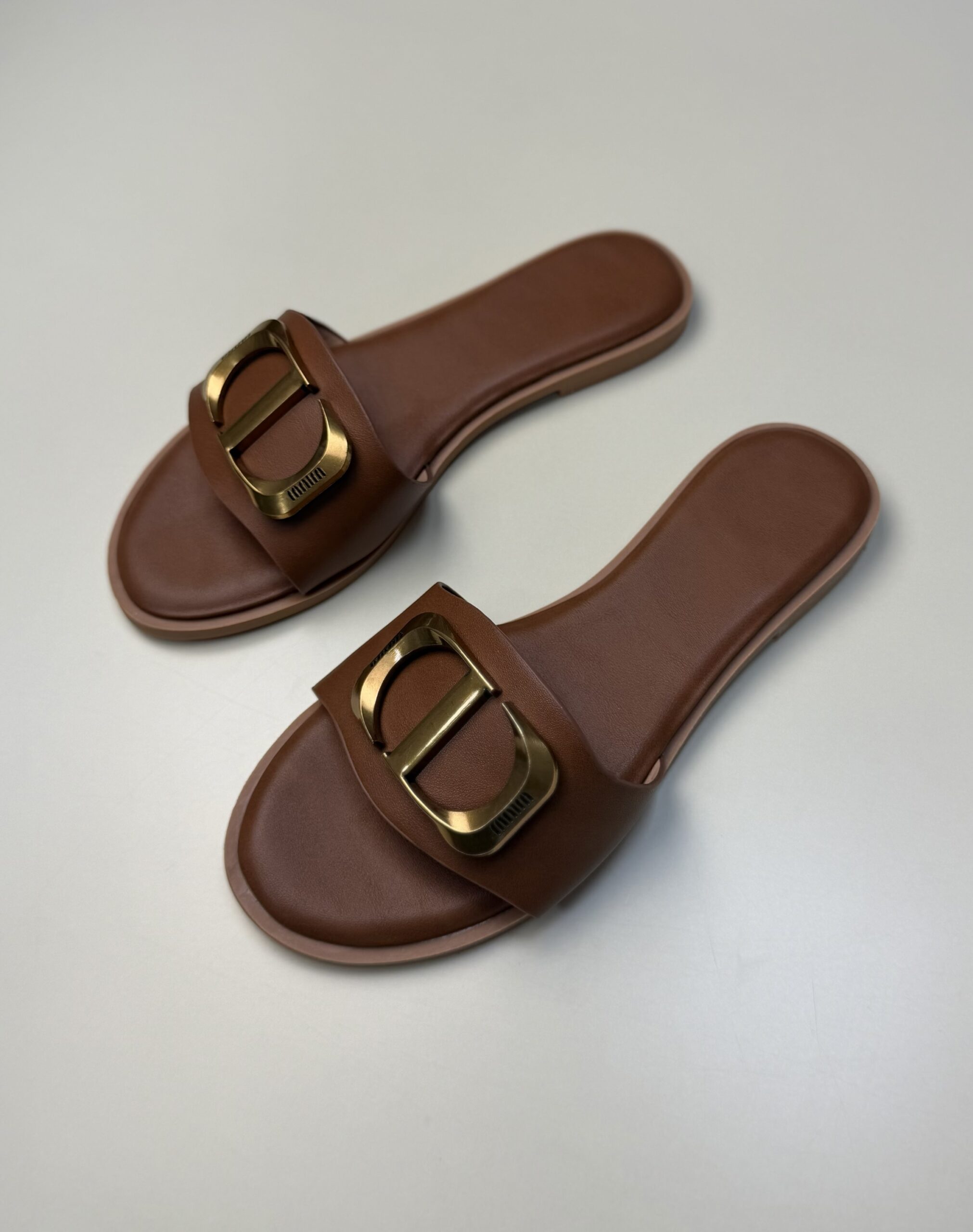 Mule " Camel " – Image 3