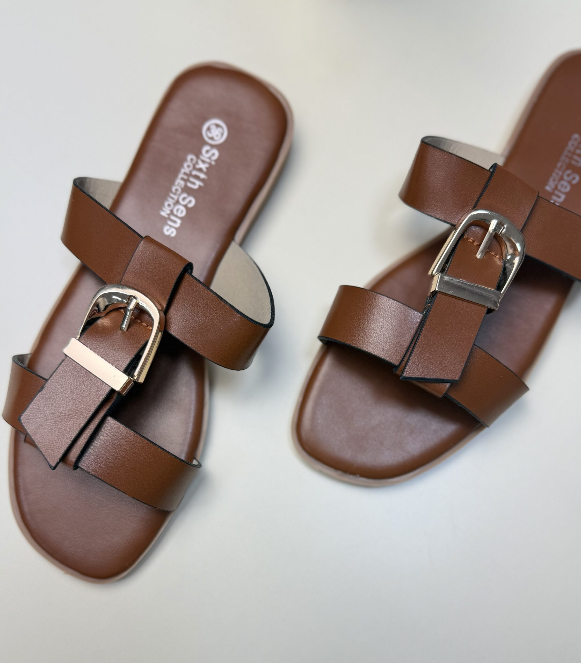 Mule " Camel " – Image 2
