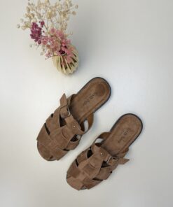 Mule " Camel "