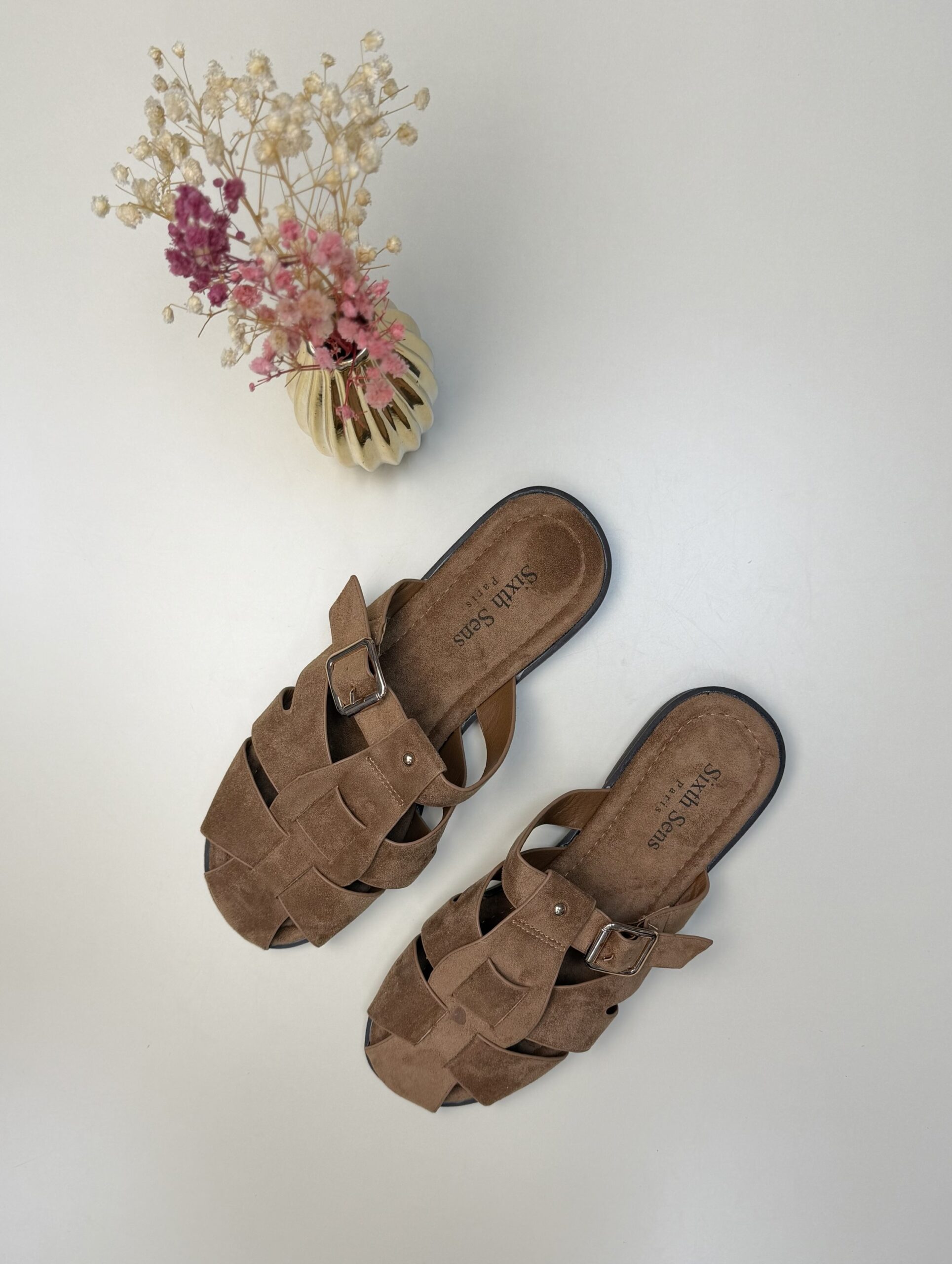Mule " Camel "