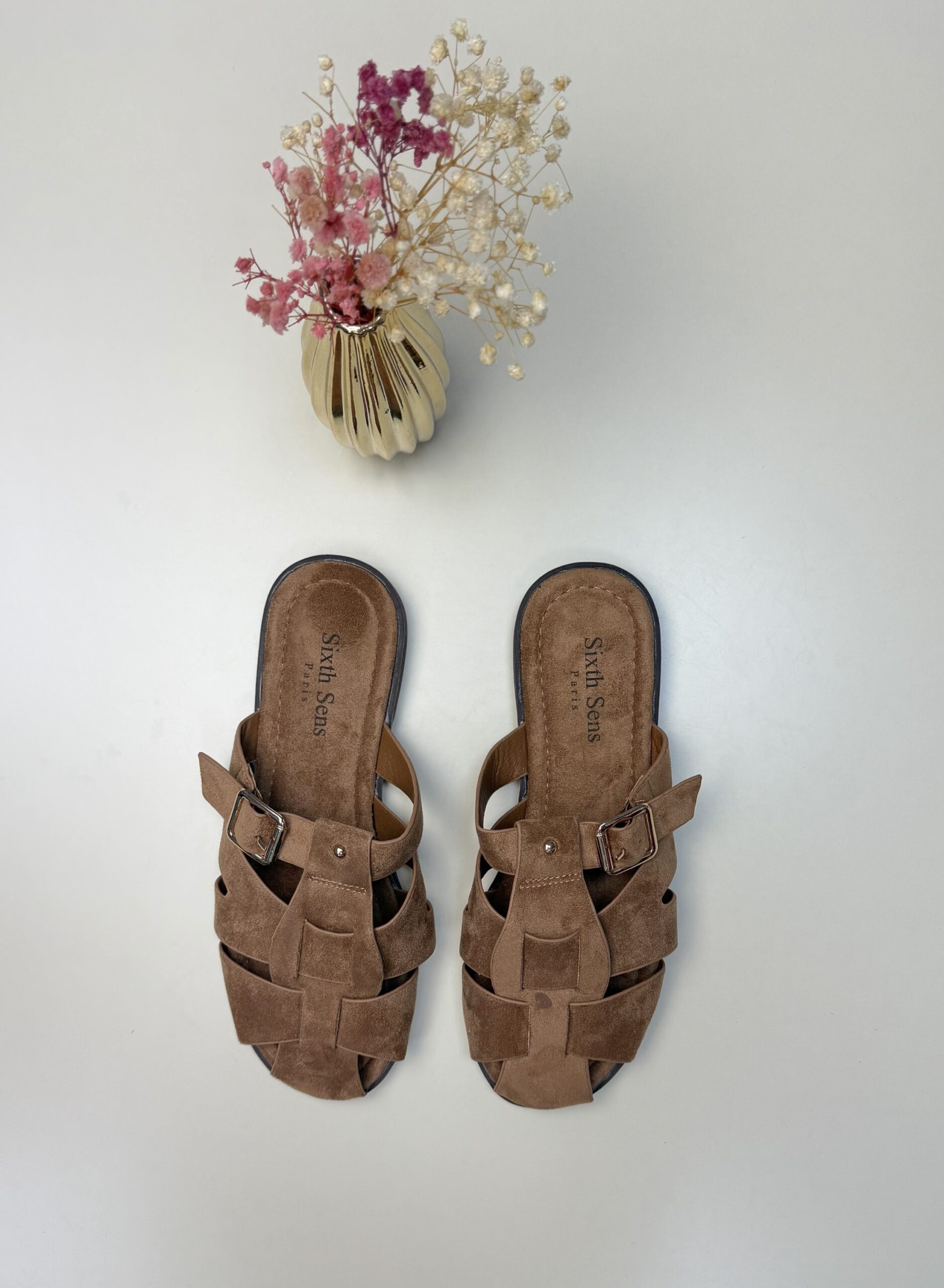 Mule " Camel " – Image 3