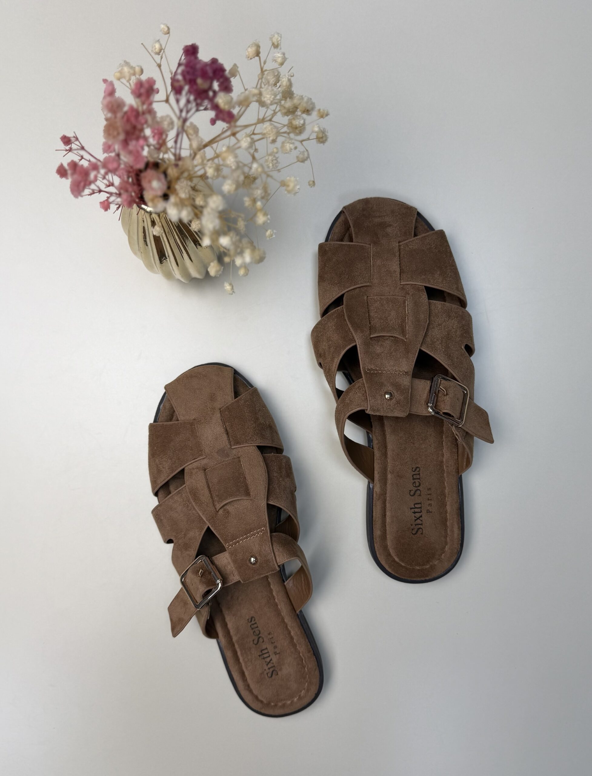 Mule " Camel " – Image 2